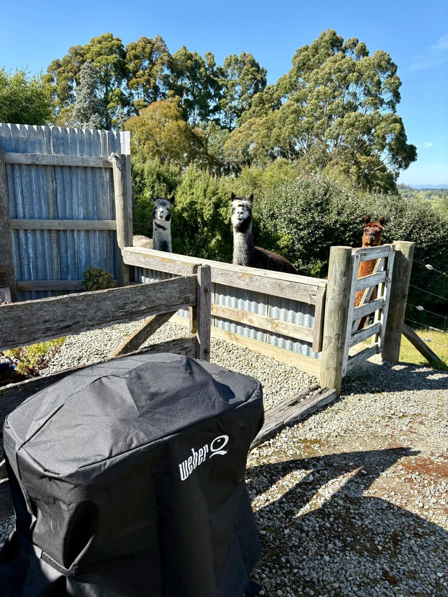 The Shepherd'S Rest Oamaru Εξωτερικό φωτογραφία